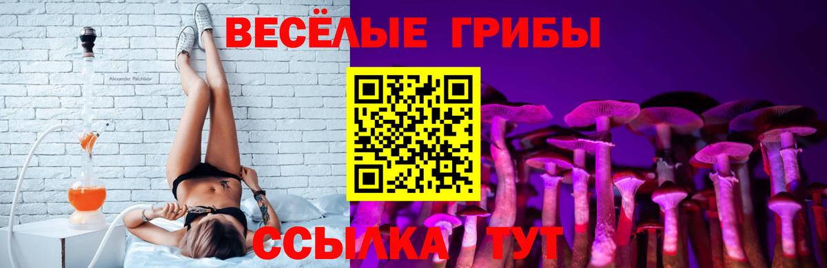 Киселёвск  Галлюциногенные грибы Magic Shrooms  Вход с VPN  Псилоцибиновые грибы мицелий 